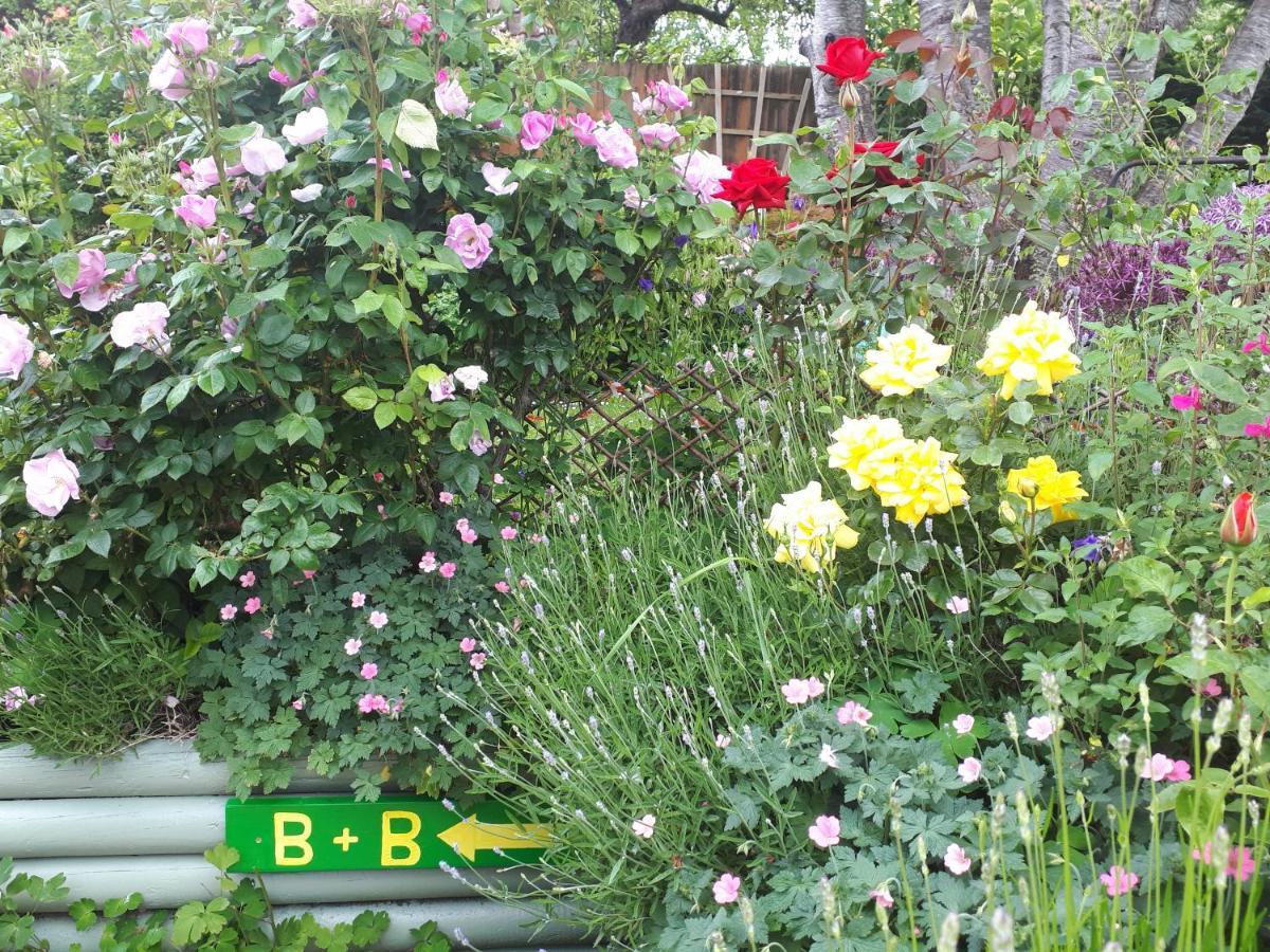 Santi Bhavana Bed & Breakfast Westbury  Bagian luar foto